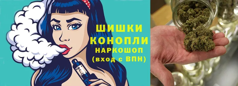 Шишки марихуана Ganja  блэк спрут зеркало  Апатиты  как найти закладки 